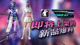 pubgm最新爆料公告,全新内容与更新即将来袭,敬请期待!